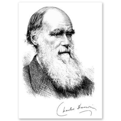 Autoaufkleber Charles Darwin Evolution L277 Sticker-12cm