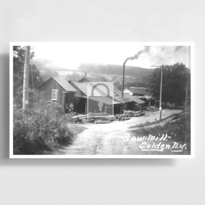 Lumber Logging Saw Mill Colden New York NY - REPRINT