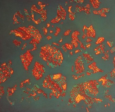 Pauline Aitken (b.1944) - 1966 Collagraph, The Modification of Matter