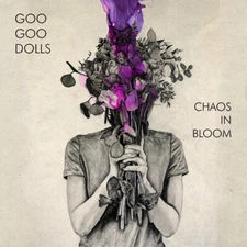 Goo Goo Dolls - Chaos In Bloom (CD) **Good**  EX-LIBRARY