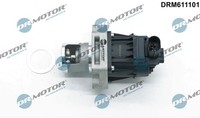 Dr.Motor Automotive DRM611101 Agr-Ventil For Alfa Romeo Fiat Jeep Lancia