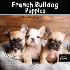 MICASA PRESS French Bulldog Puppies 2026 Wall Calendar 12 Month | 12 x 24