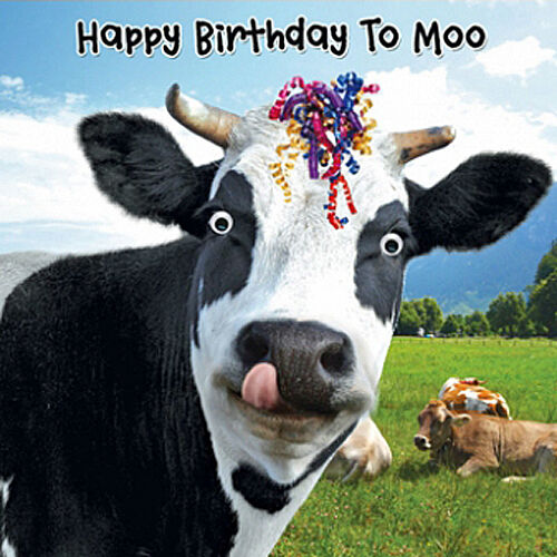 Funny Cow & Streamers Birthday Card Happy Birthday To Moo 3D Goggly Moving Eyes - Picture 1 of 1