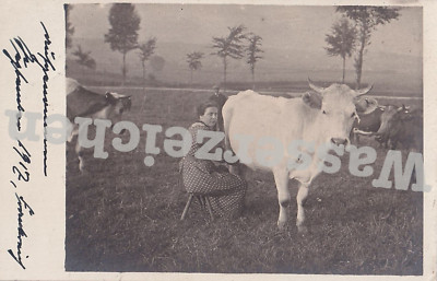 Postcard used field postcard 1917, milking woman on cow pasture, Frankr. (5645)