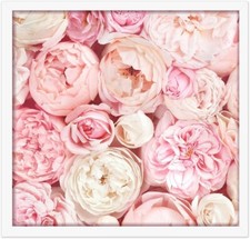 Wyooxoo 20x20 Poster Frame Picture Frame White Solid Wood With Plexiglass Galler