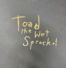 TOAD THE WET SPROCKET - VINYL Box Set 5 x LP 2018 Think Indie Exc Cond! JF1