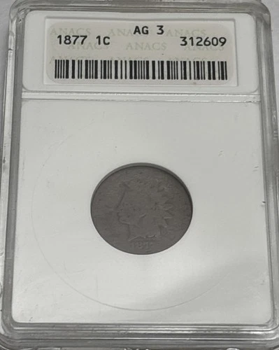 1877 KEY DATE Indian Head Cent AG - 3