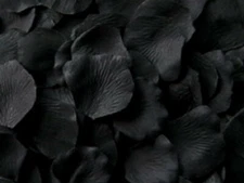 1000 PCS Silk Rose Petals Mutil Color Wedding Party Decor Confetti Flower Floral