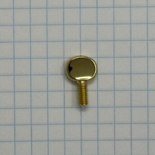 Lyre Screw, Selmer AS220  ASOL200 Alto Sax, Lacquer