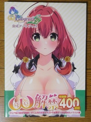 Hifumi Shobo Omega Labyrinth Life Art Book First Edition Used with Cover Wear