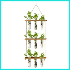 Wall Hanging Propagation Station with Wooden Stand Glass  Tubes Tiered Plante...