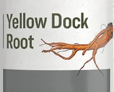 YELLOW DOCK ROOT - Blood, Liver & Digestive Support Detox Tonic Tincture USA