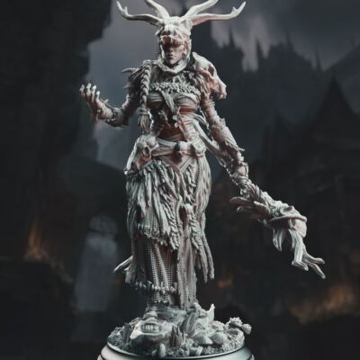 Druid Female Human Shapeshifter NPC 32mm Scale - Turak'tali by DM Stash