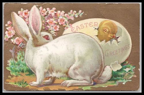 Easter Greetings Rabbit Series Hatching Chick Antique Embossed  Postcard
