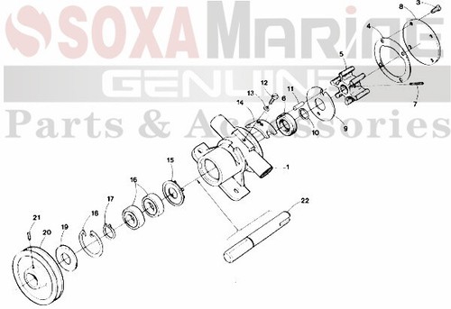 Kit de impulsor de reparación de bomba de agua cruda Westerbeke 32620 032620 40455 Sierra 23-3305 - Imagen 2 de 4