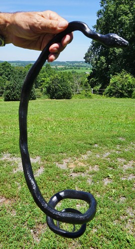 Black Snake - 52" Realistic Rubber Snake Replica AAA - Picture 10 of 12