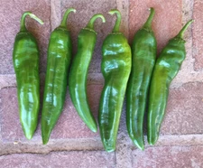 25 NU MEX JOE E PARKER PEPPER SEEDS ~ 2026 ~ heirloomseedguy ~ USA