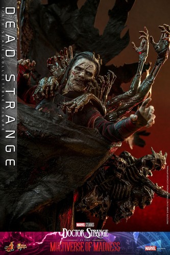 Hot toys MMS654 1/6 Dead Strange Doctor Strange in the Multiverse of Madness - Picture 7 of 24