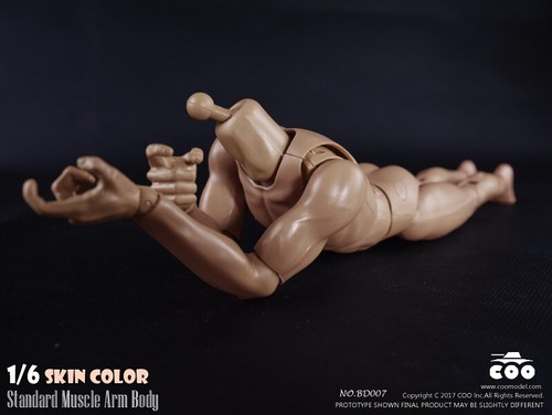 Coomodel 1/6 Stecker Standard Muscle BD008 Actionfigur Körperpuppe 12" Modellspielzeug - Bild 15 von 24
