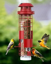 Squirrel Proof Bird Feeder for Outdoor Hanging, Metal Tube Bird Seed Feeder for 