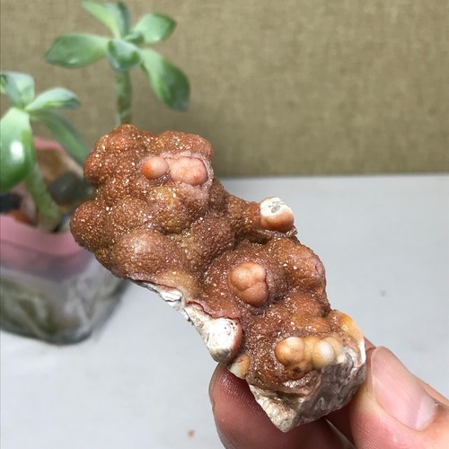 Natural crazy Mexican agate Crystal gemstone rough original Specimen 60g A1461 - Picture 9 of 15