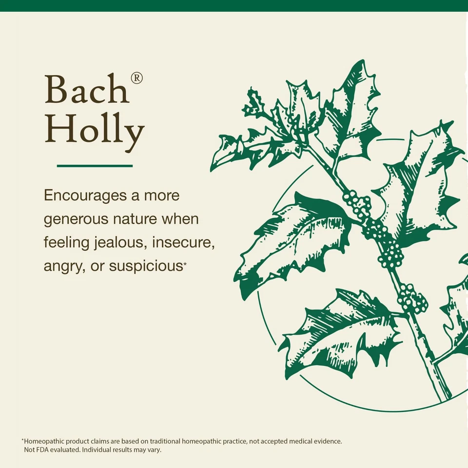 Bach Original Flower Remedy Holly 20ml Emotional Wellness Natural Essence - Image 3 of 4