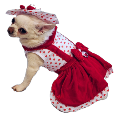 red harness dress Samantha Dress Harness