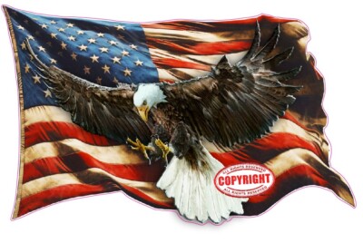 Worn American flag Bald Eagle decal Large 18'' Decal
