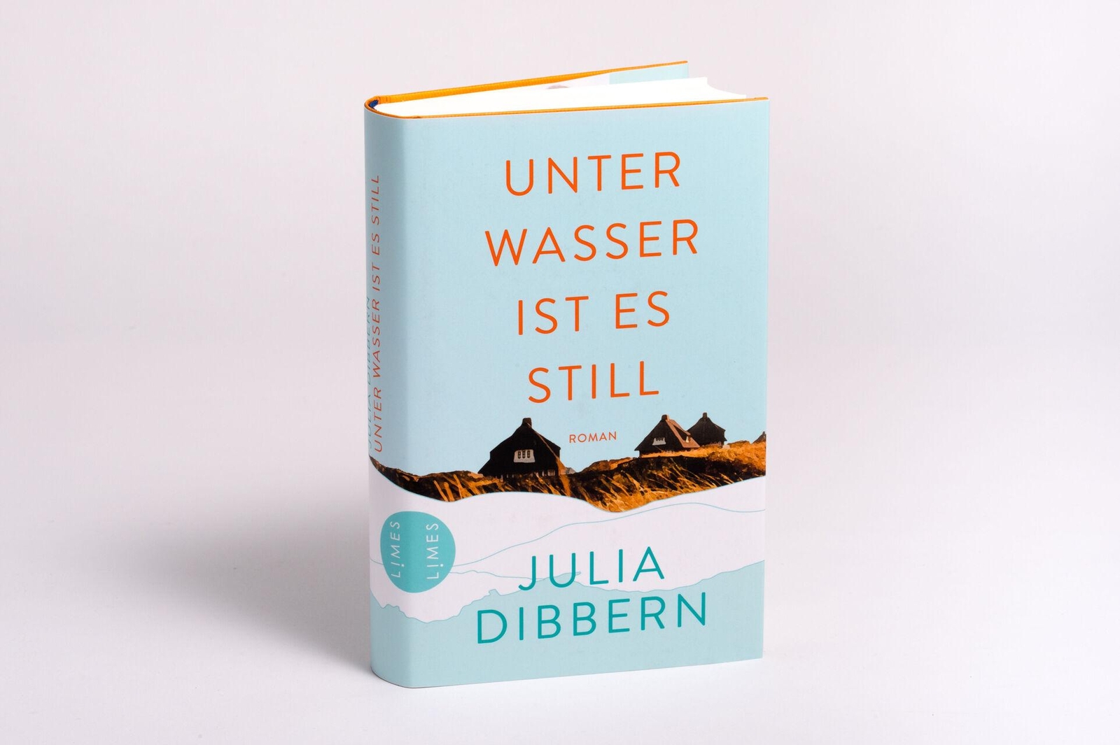 Thumbnail - Julia Dibbern Unter Wasser Ist Es Still
