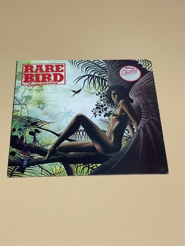 Disco Vinile 33 giri Lp Rare Bird - Sympathy 1970 Charisma Originale + Fodera - Foto 2 di 9
