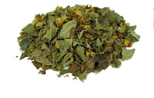 Calea Zacatechichi - Dream herb (leaf of good...