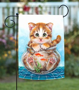 kitty fish