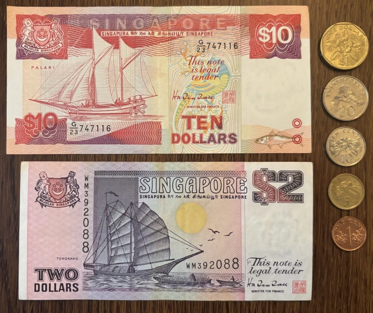 10 新加坡 幣 (99) 사진