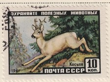 Product Image: Russia Fauna Forest Wild Animals Deer stamp 1961 RU-3