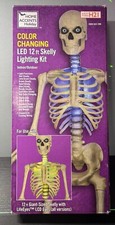Color Changing LED 12ft Skelly Lighting Kit