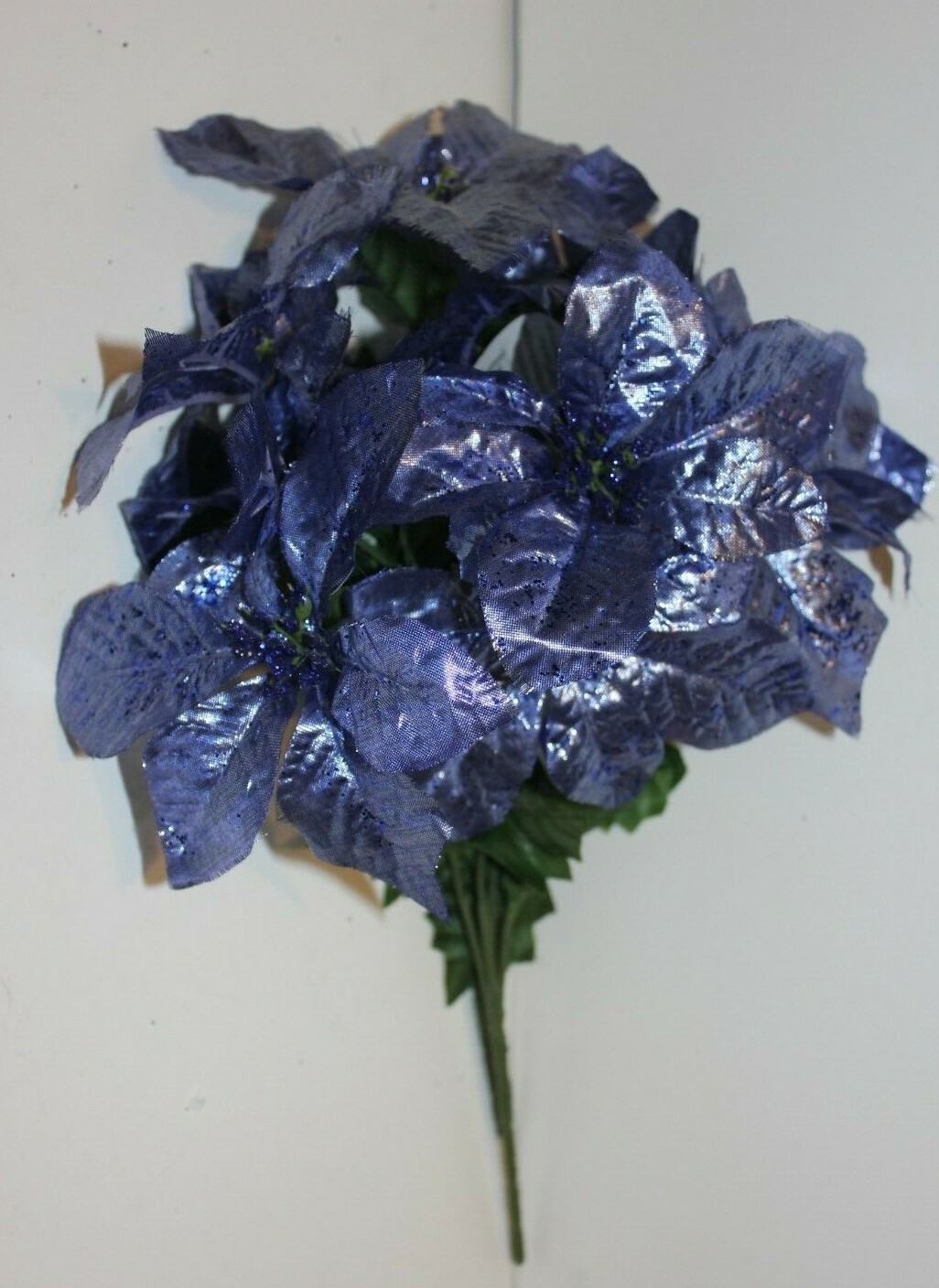 Picture 7 of 22