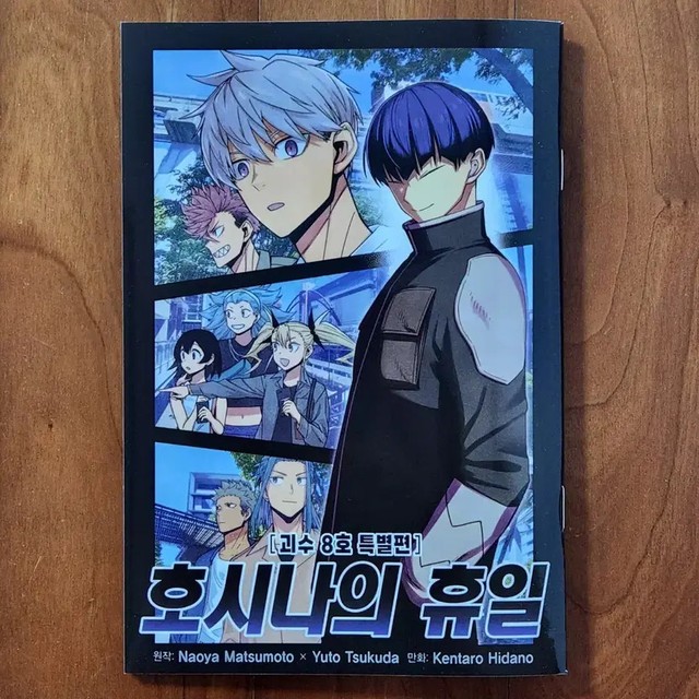 Hoshina's Holiday Comic Book 8th Issue