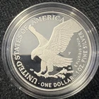 2025 American Silver Eagle 1 oz .999 Proof Marine Corps 250th Anniv
