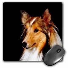 3dRose Sheltie  Shetland SheepDog MousePad