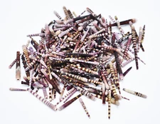 Tiger Sea Urchin Spines Bits and Pieces (4 oz.) Contains Broken Spines