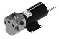 Autopilot Hydraulic Pump Raymarine S1 S2 S3 S3G EV150 EV200 TYPE 1 24V M81119