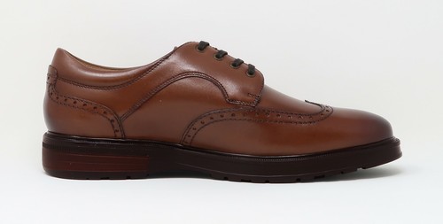 Astor Wingtip Oxford Shoes 13339-221M 