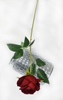 Bild 11 von 57