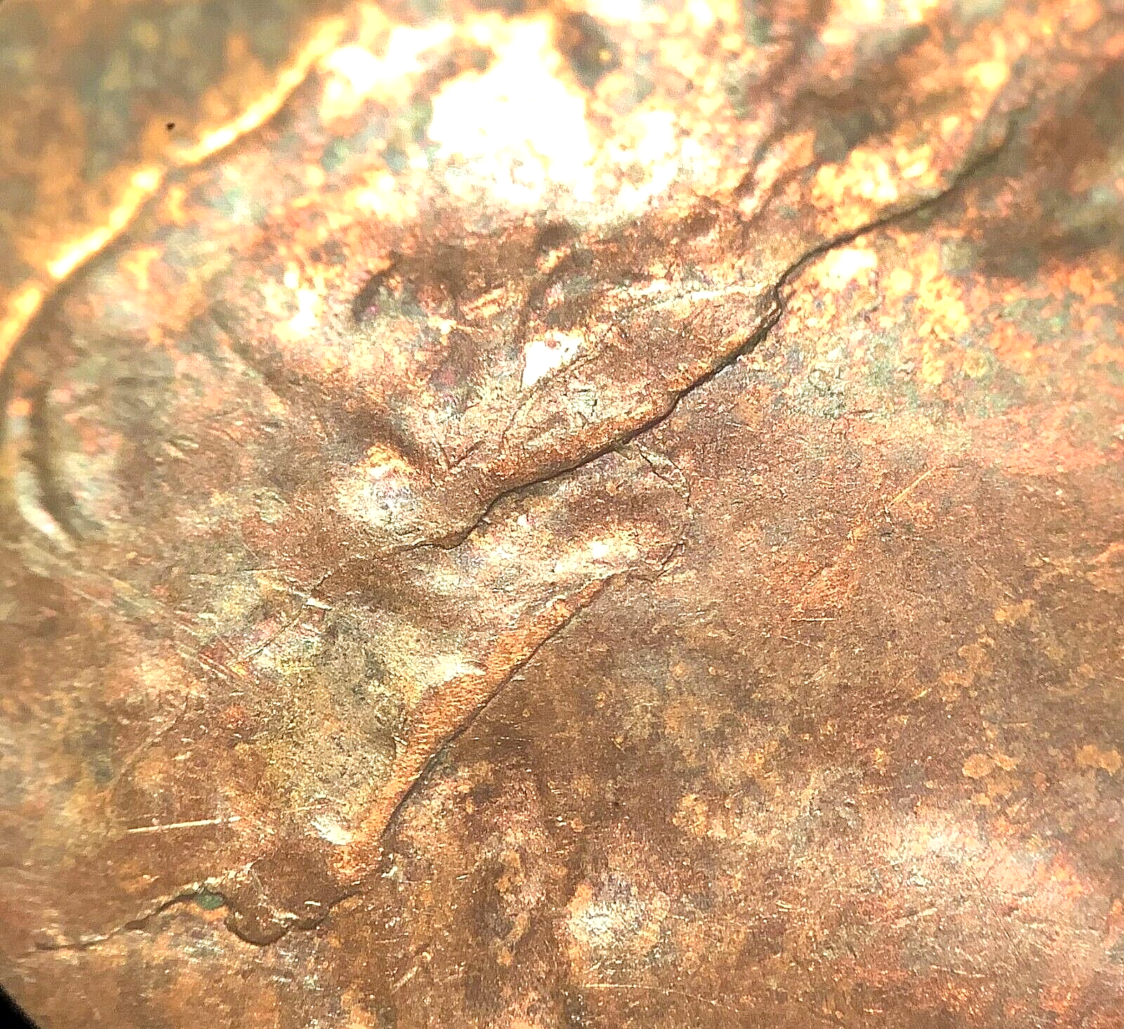 Picture 5 of 5