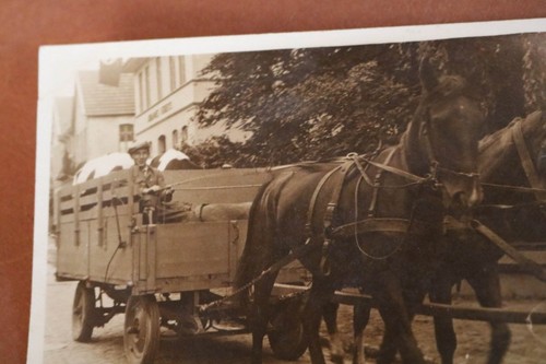 gran foto antigua - Conducción de caballos - ¿Caballos 1930-40?? - Imagen 2 de 3