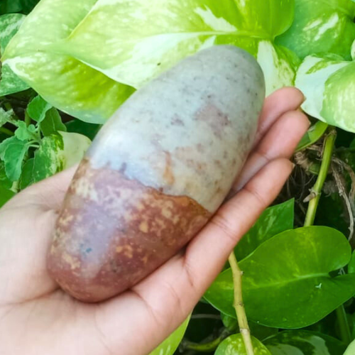 Pietra Lingam Shiva 4" pollici fiume Narmada India rara speciale bella Lingam ~ 968 - Foto 5 di 5