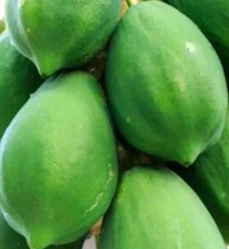 Raw Papaya Fresh Unriped 800g(0.8kg), Fast 24 Tracked Delivery 21.25 per kilo