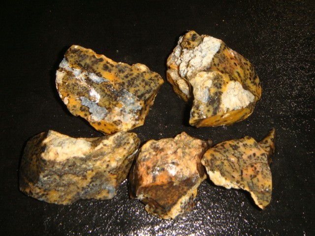 5 CHEETAH AGATE W/ APATITE INCLUSION ROUGH SPECIMENS  1  1/2   POUNDS  N MEXICO