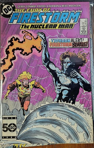 Lote de cómics The Fury Of FIRESTORM The Nuclear Man DC # 38 39 41 42 43 73 77 - Imagen 7 de 9