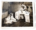 1950s PUPPET/MARIONETTE THEATRE Poster-Size Photo Large size photo, 17-3/4 X 15 — photo 1